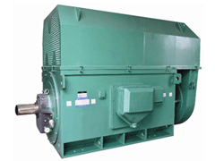 林西Y系列6KV高压电机
